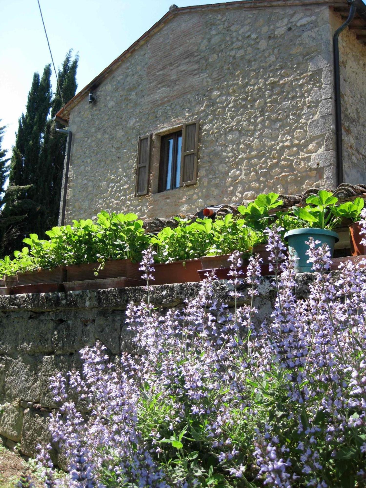 Agriturismo Il Caio Cetona Ngoại thất bức ảnh