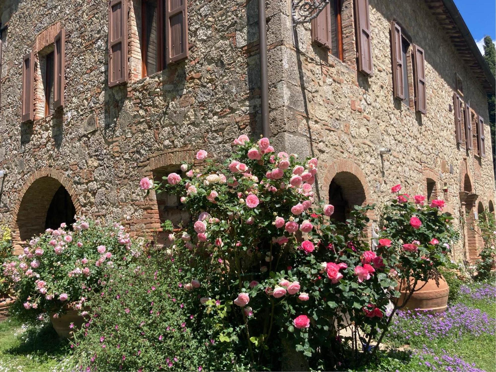 Agriturismo Il Caio Cetona Ngoại thất bức ảnh