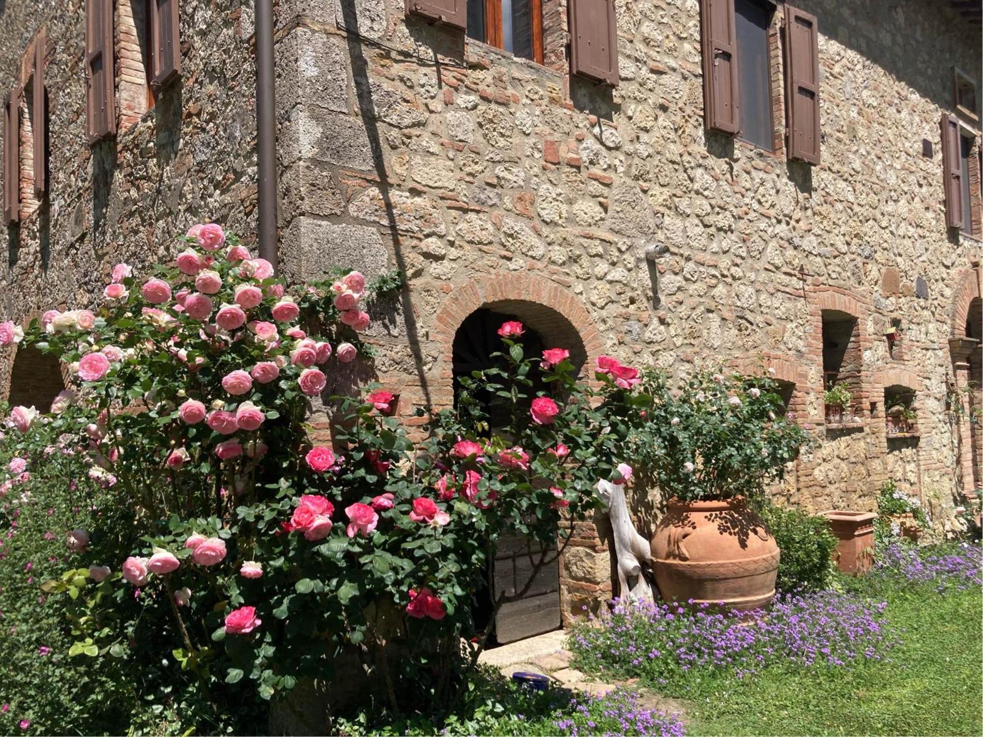 Agriturismo Il Caio Cetona Ngoại thất bức ảnh
