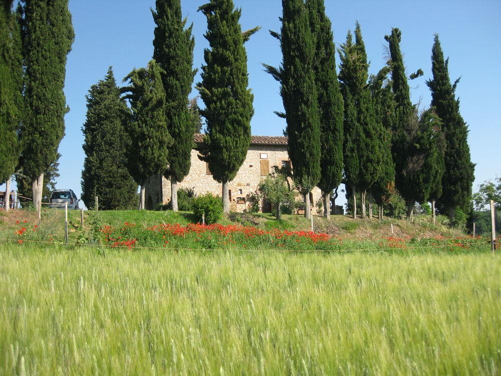Agriturismo Il Caio Cetona Ngoại thất bức ảnh