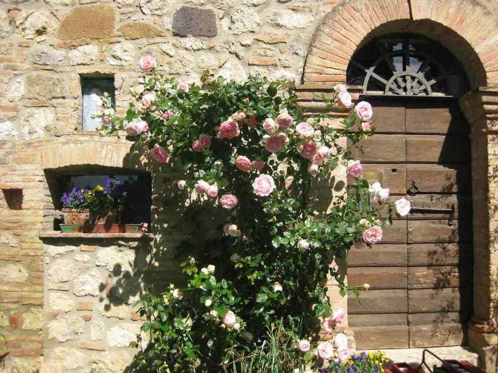 Agriturismo Il Caio Cetona Ngoại thất bức ảnh