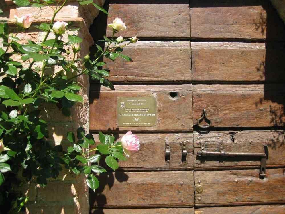 Agriturismo Il Caio Cetona Ngoại thất bức ảnh