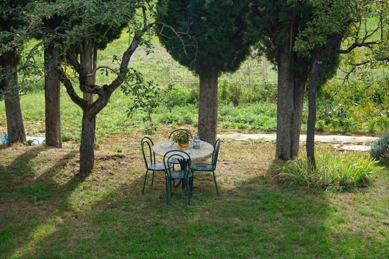 Agriturismo Il Caio Cetona Ngoại thất bức ảnh