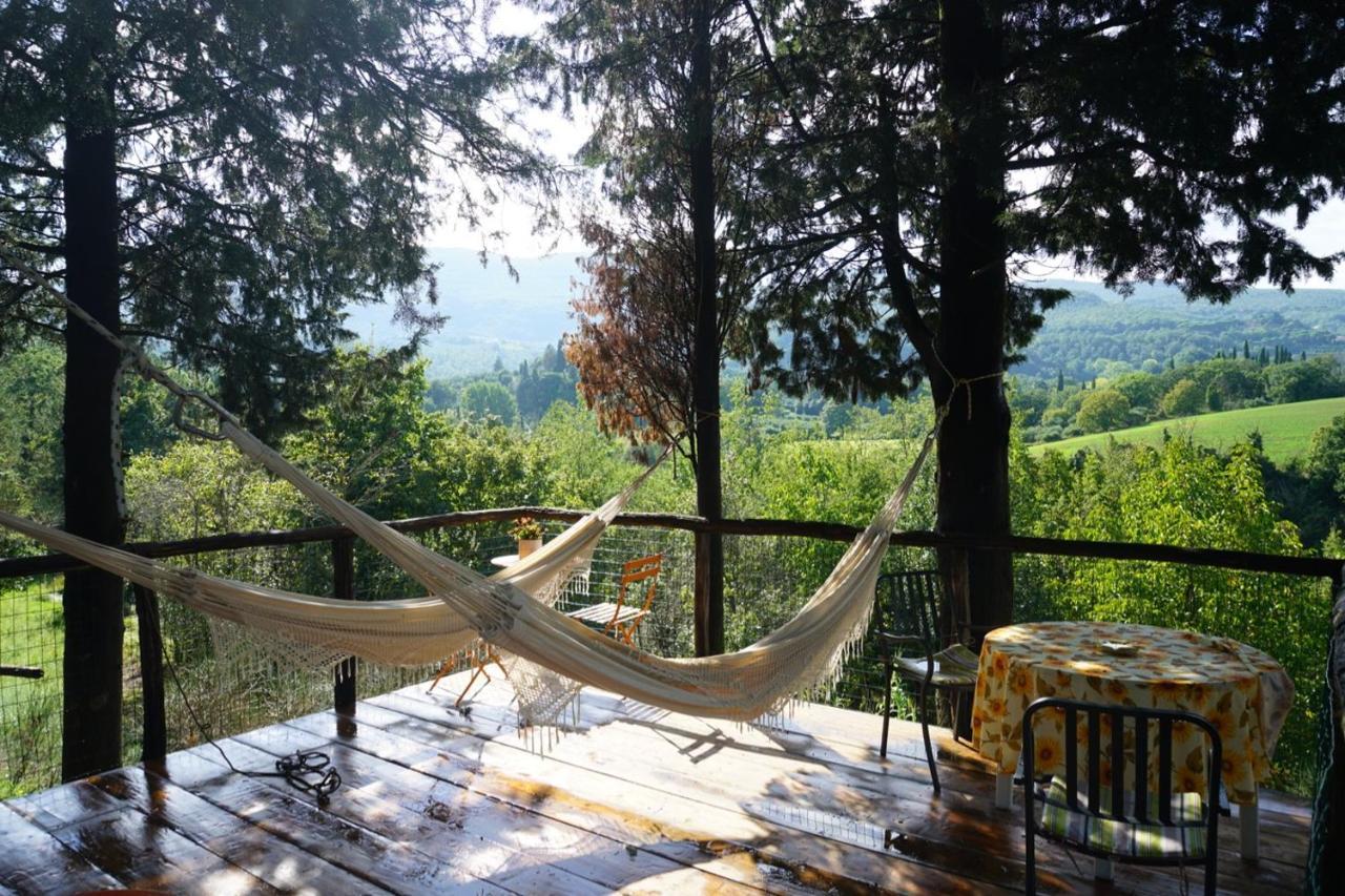 Agriturismo Il Caio Cetona Ngoại thất bức ảnh